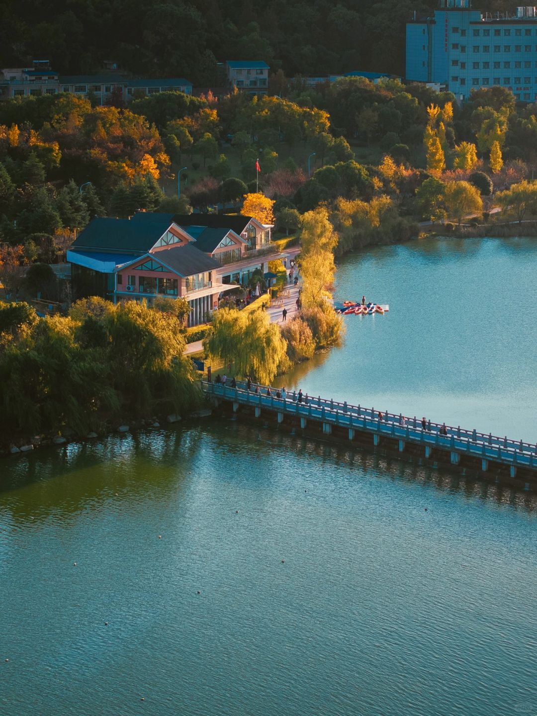 Changsha-In Changsha West Lake Park, golden leaves cover the path, as if nature has laid a golden carpet for us!