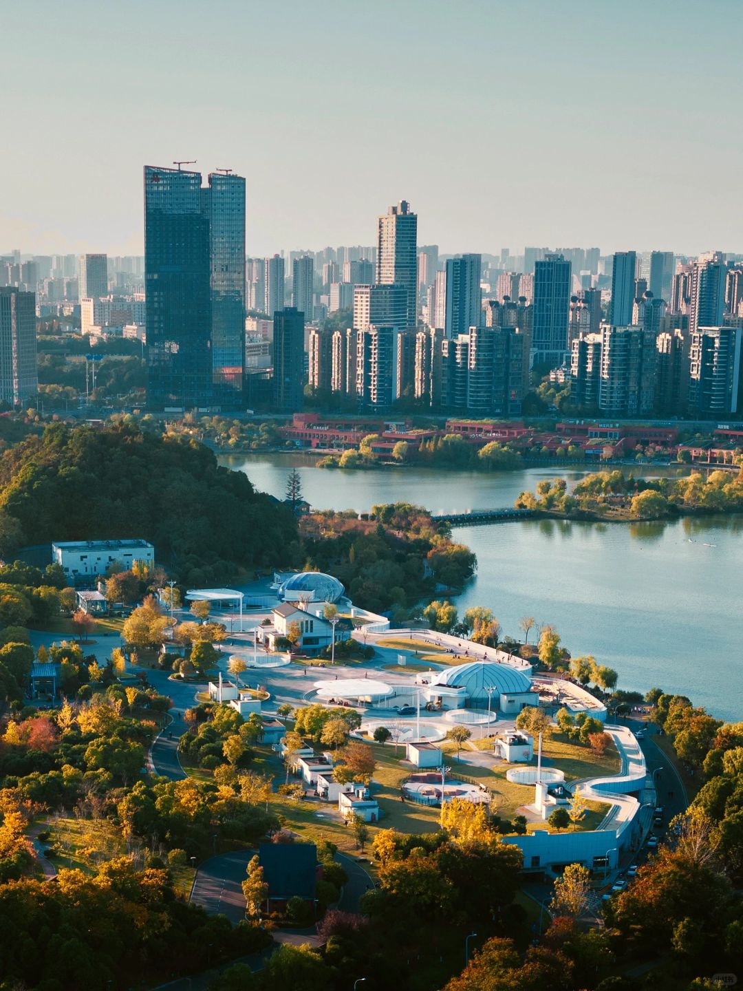 Changsha-In Changsha West Lake Park, golden leaves cover the path, as if nature has laid a golden carpet for us!