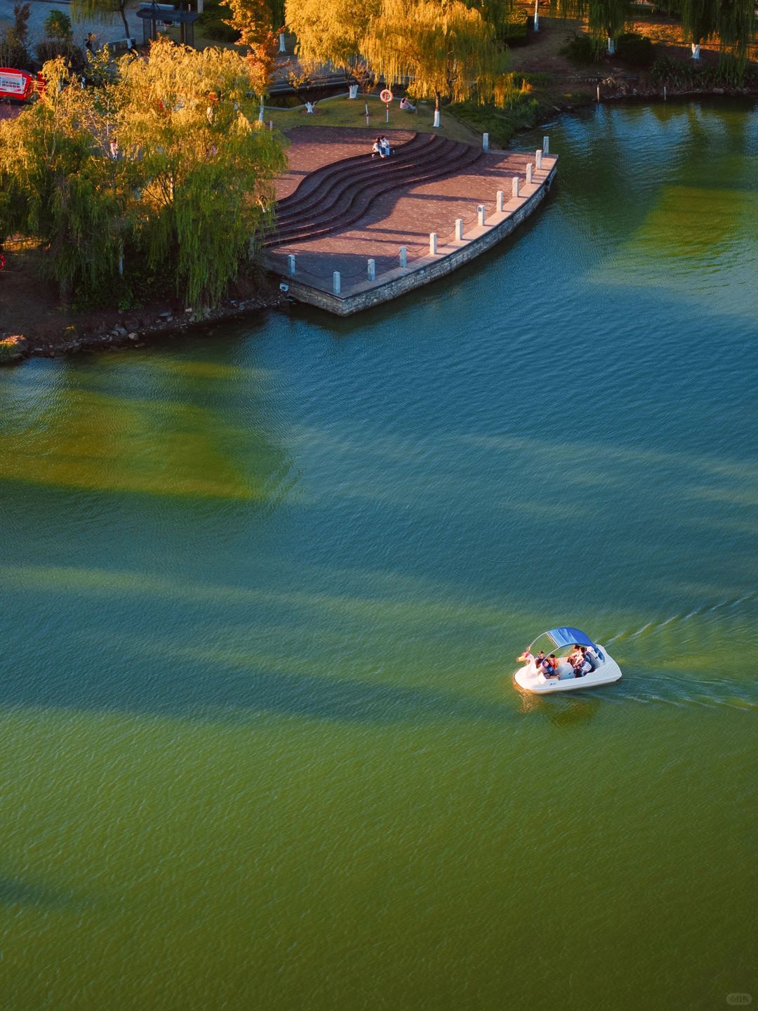 Changsha-In Changsha West Lake Park, golden leaves cover the path, as if nature has laid a golden carpet for us!