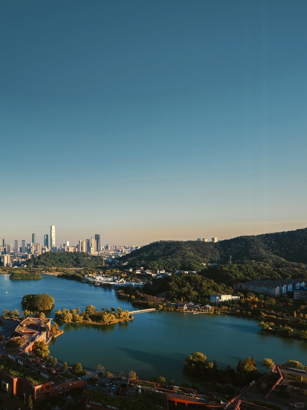 Changsha-In Changsha West Lake Park, golden leaves cover the path, as if nature has laid a golden carpet for us!