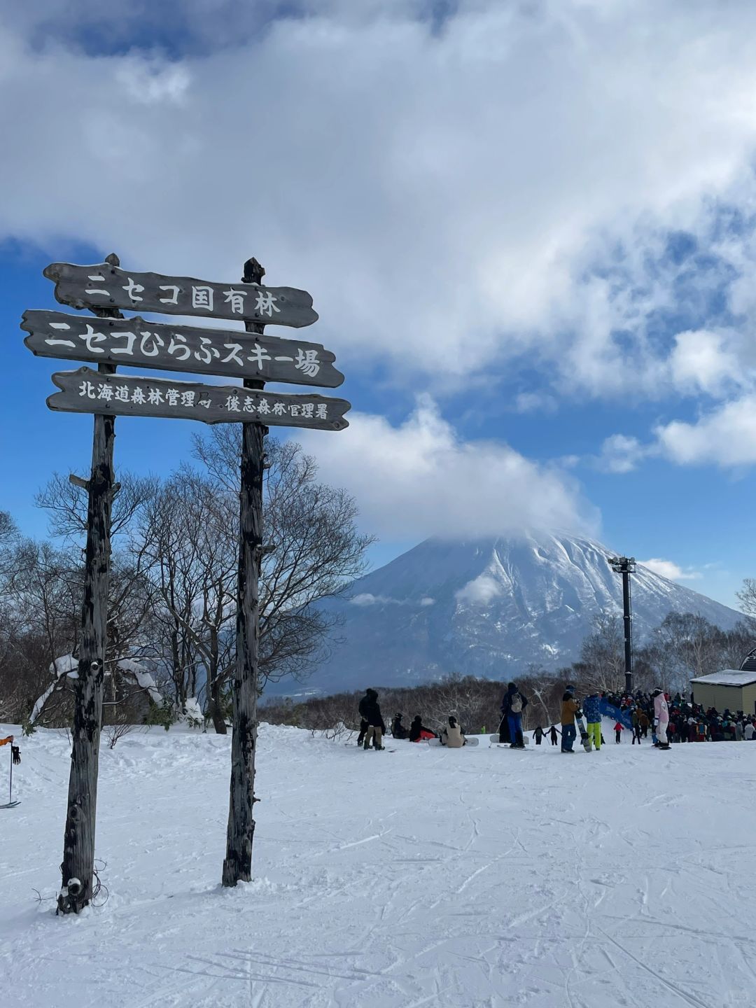 Sapporo/Hokkaido-In the ski town of Hirafu in Niseko, Hokkaido, I like the small woods under the king hood