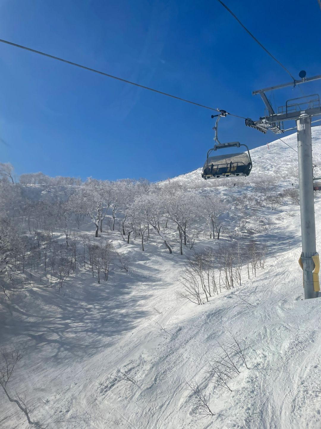 Sapporo/Hokkaido-In the ski town of Hirafu in Niseko, Hokkaido, I like the small woods under the king hood