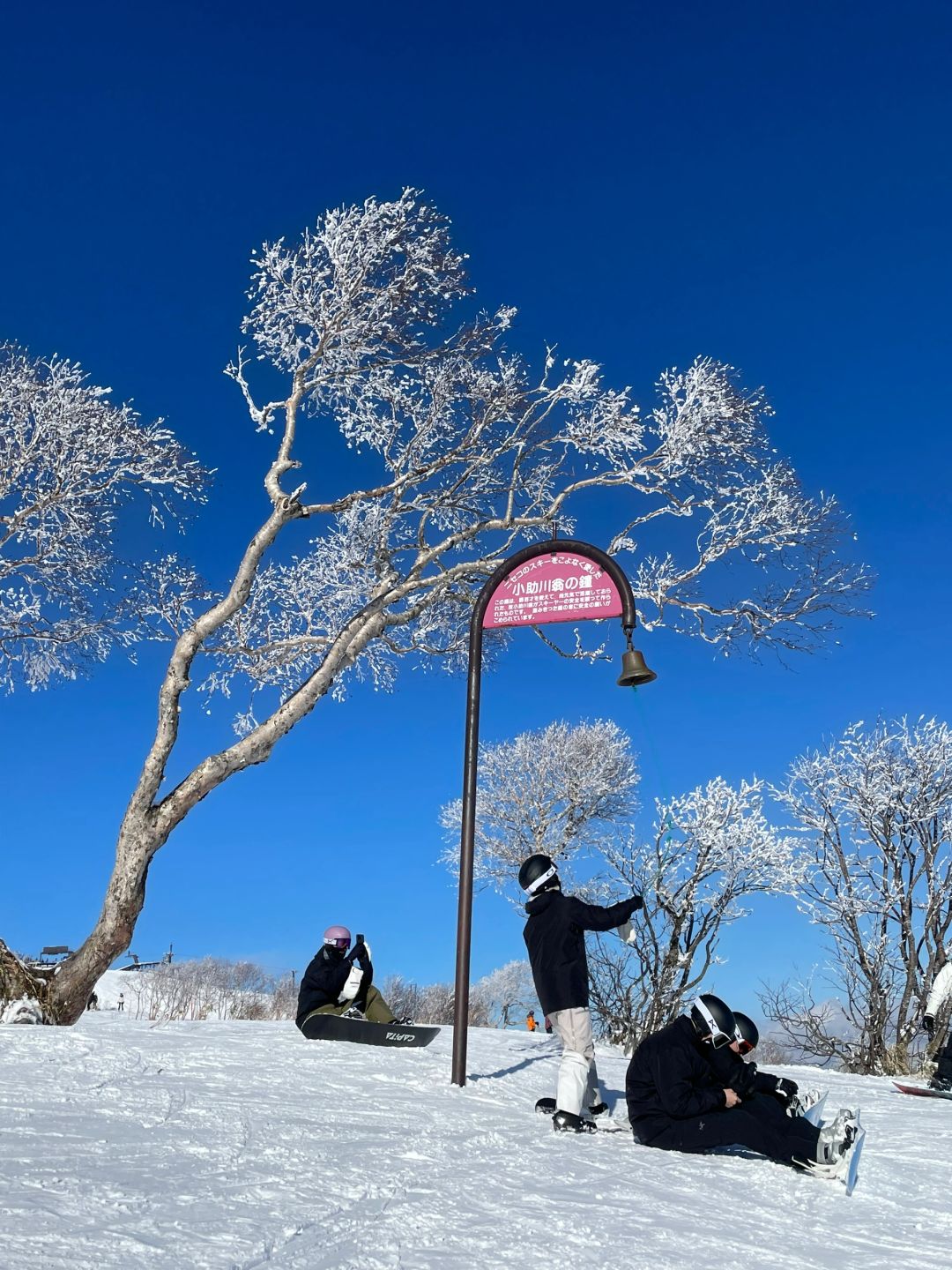 Sapporo/Hokkaido-In the ski town of Hirafu in Niseko, Hokkaido, I like the small woods under the king hood