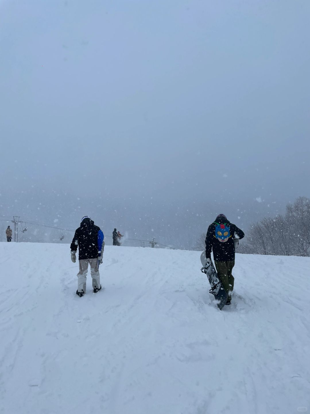 Sapporo/Hokkaido-In the ski town of Hirafu in Niseko, Hokkaido, I like the small woods under the king hood