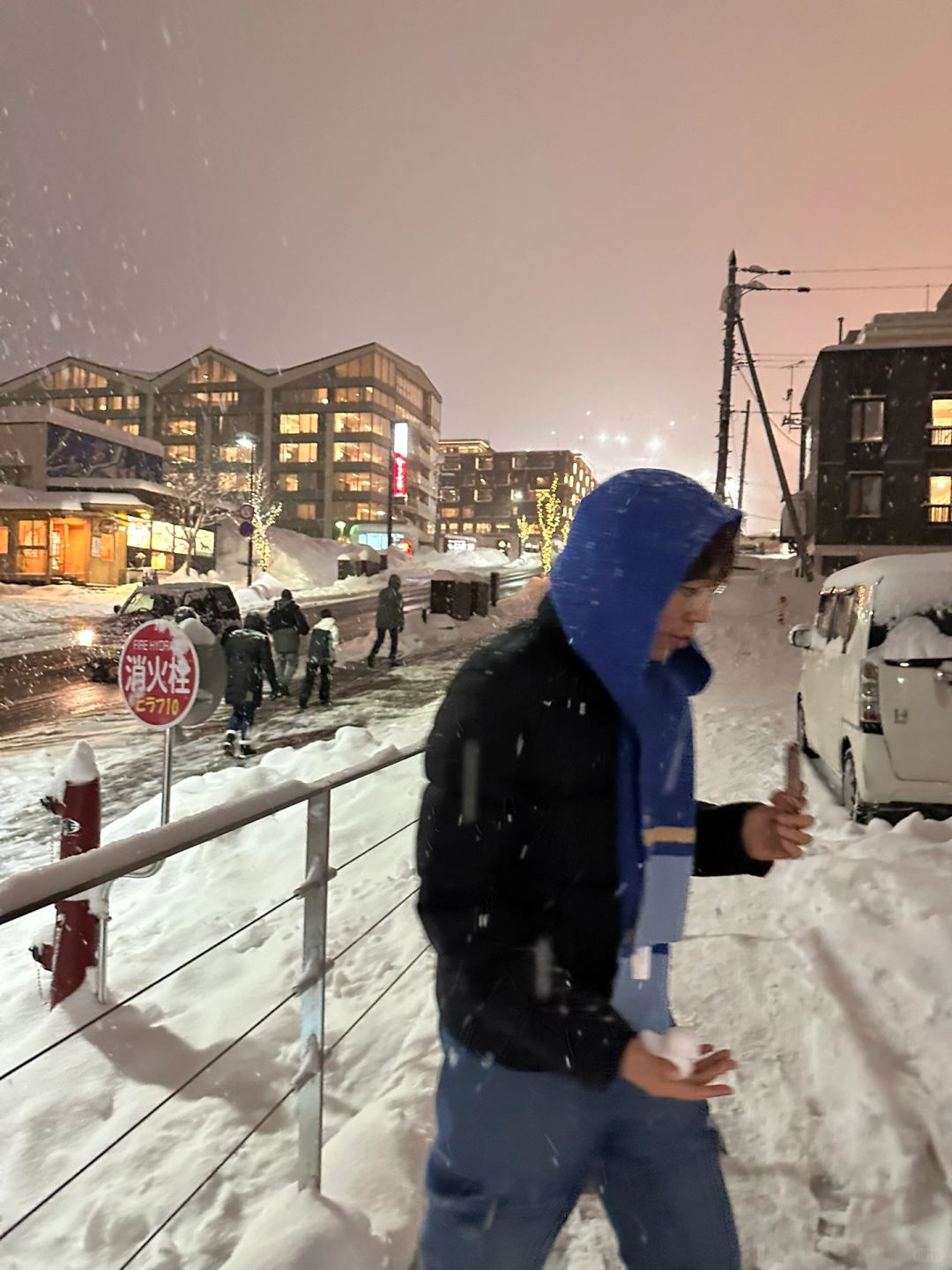 Sapporo/Hokkaido-In the ski town of Hirafu in Niseko, Hokkaido, I like the small woods under the king hood