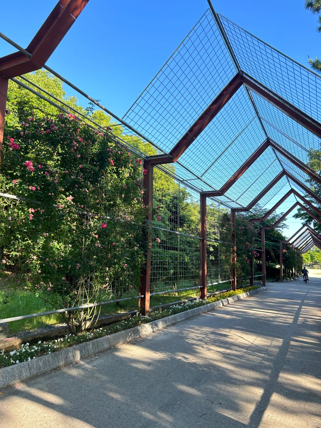 Osaka-Daisen Park in Sakai, Kansai, Osaka Prefecture, Japanese garden with almost no tourists