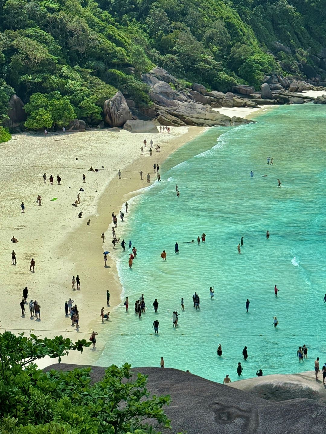 Phuket-Traveling to Phuket Similan Islands, I was lucky to see small turtles and colorful sea fish