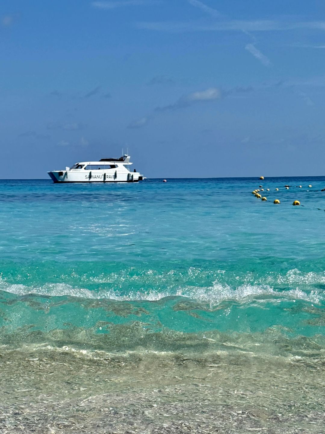 Phuket-Traveling to Phuket Similan Islands, I was lucky to see small turtles and colorful sea fish