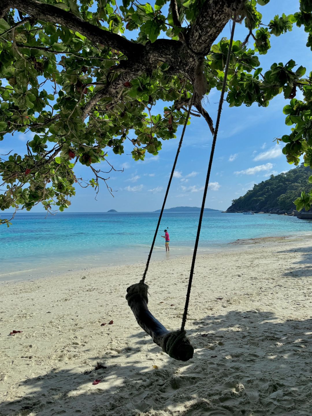 Phuket-Traveling to Phuket Similan Islands, I was lucky to see small turtles and colorful sea fish