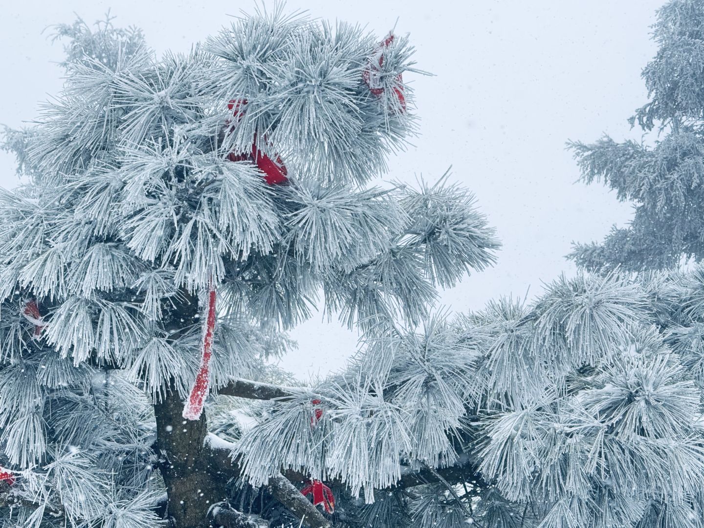 Changsha-Hengshan is very friendly to novice mountain climbers!