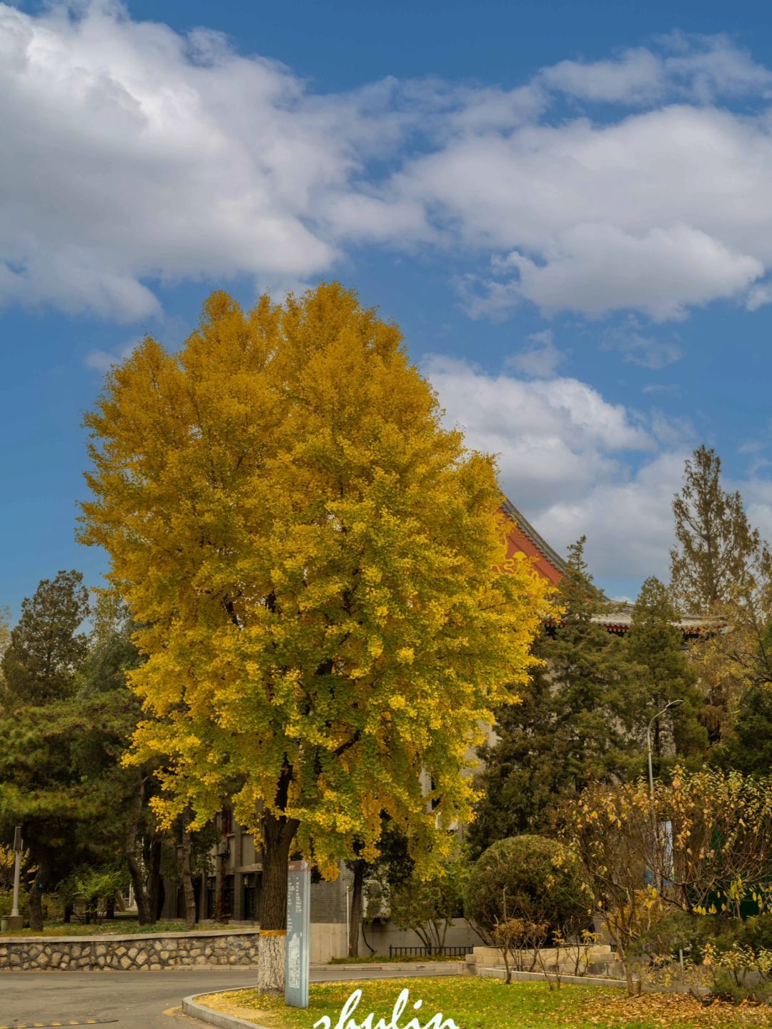 Beijing/Tianjin-You can visit one of the best universities in China, Peking University, for free!