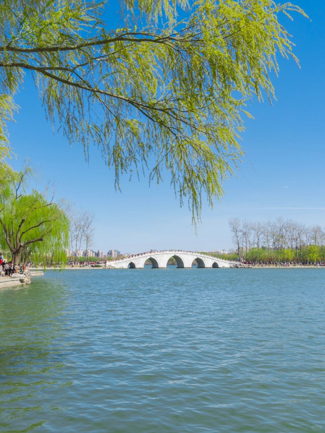 Beijing/Tianjin-Beijing Yuyuantan Park has the largest variety of cherry blossoms in Beijing!