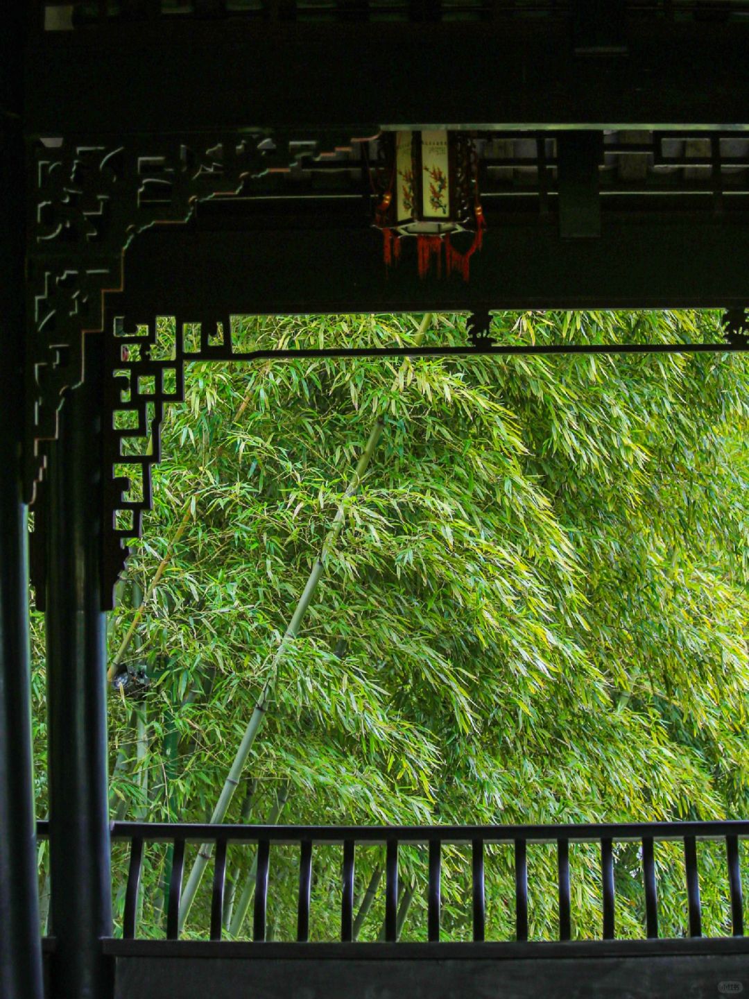 Chengdu/Chongqing-Chengdu Wangjiang Tower Park has planted various types of bamboo!