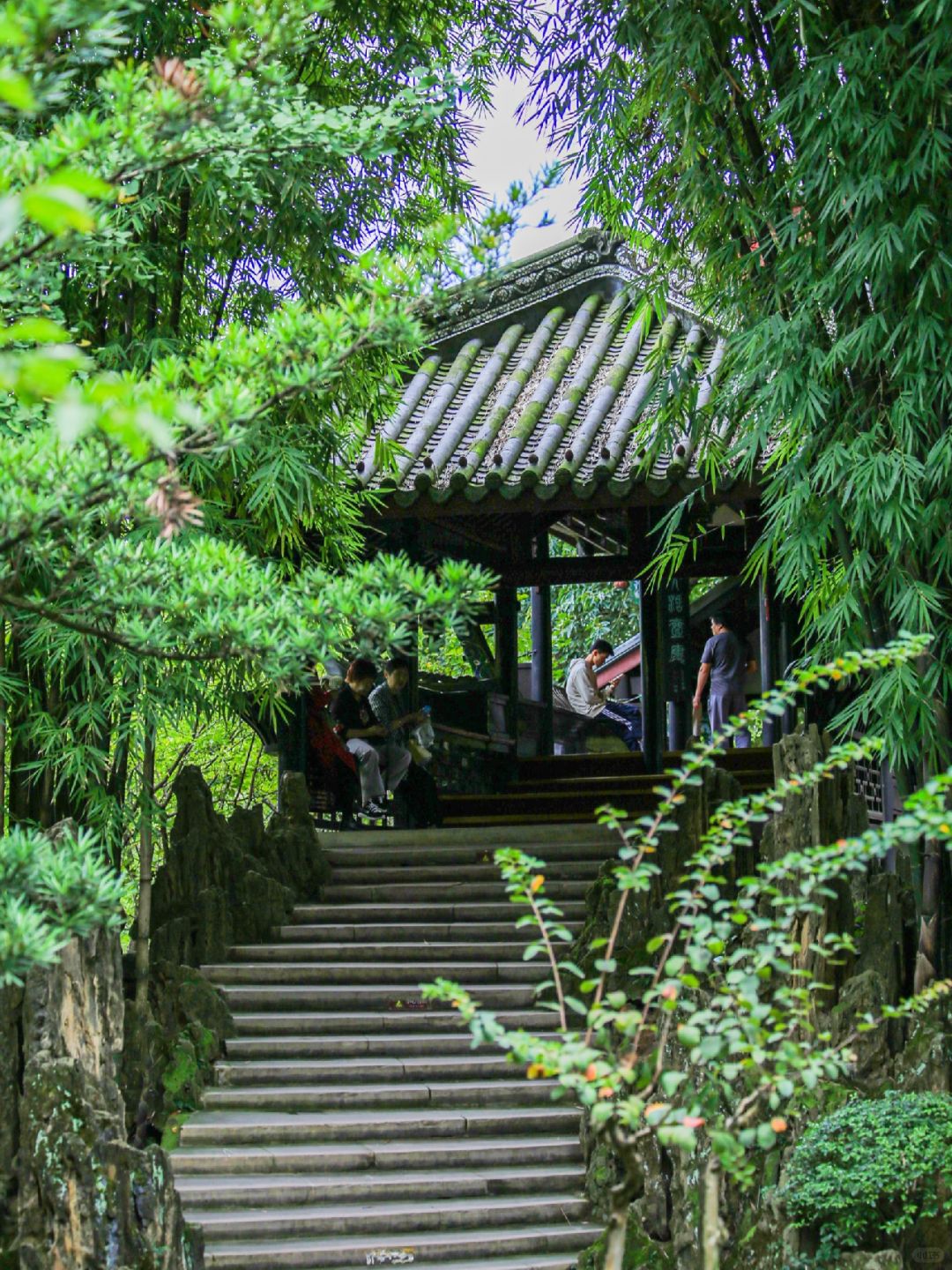 Chengdu/Chongqing-Chengdu Wangjiang Tower Park has planted various types of bamboo!