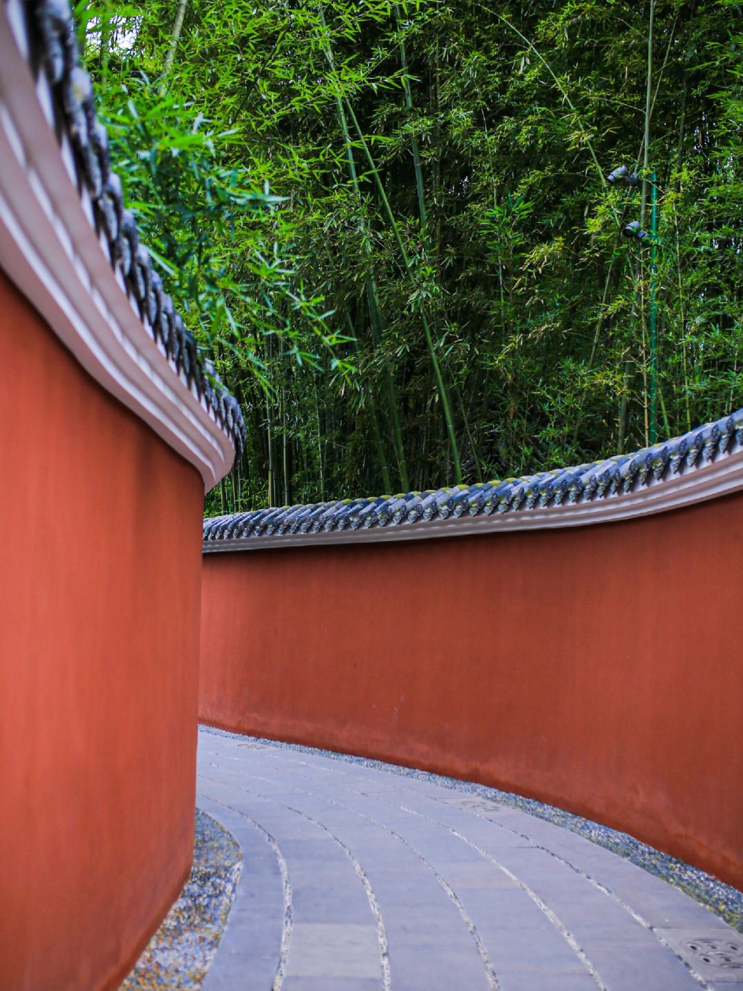 Chengdu/Chongqing-Chengdu Wangjiang Tower Park has planted various types of bamboo!