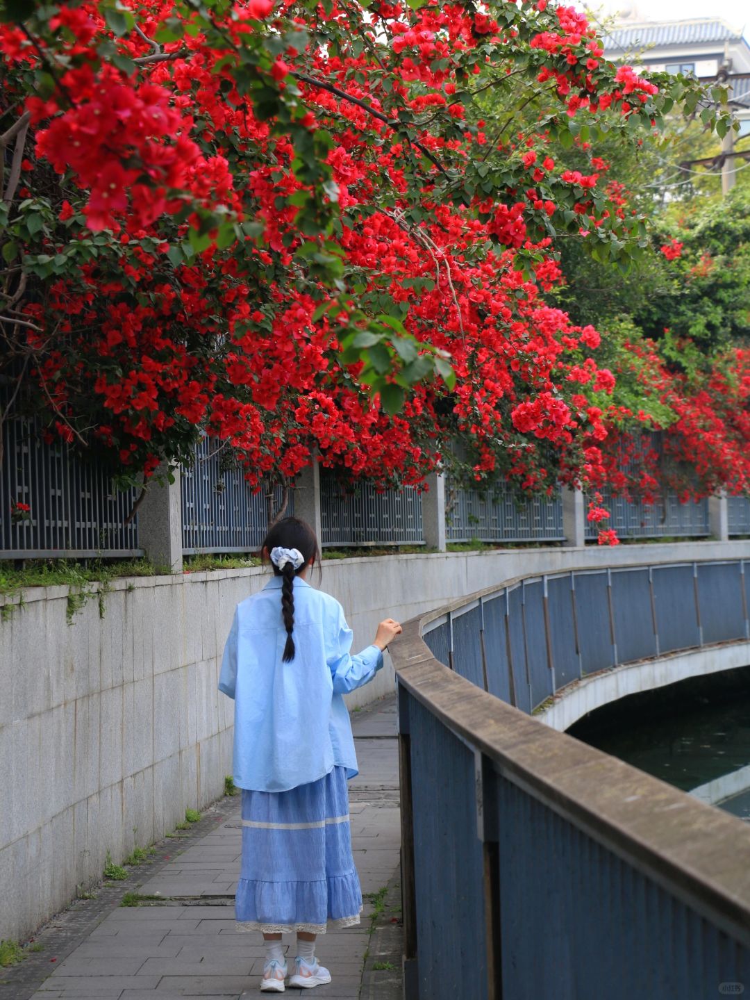 Chengdu/Chongqing-Chengdu Huanhuaxi Park is not only beautiful, but also full of cultural heritage!