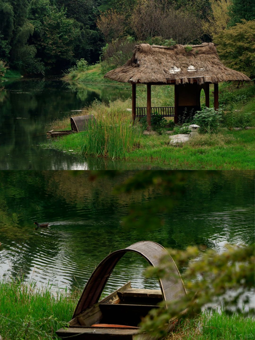 Chengdu/Chongqing-Chengdu Canglang Lake Park integrates natural landscapes and cultural history!