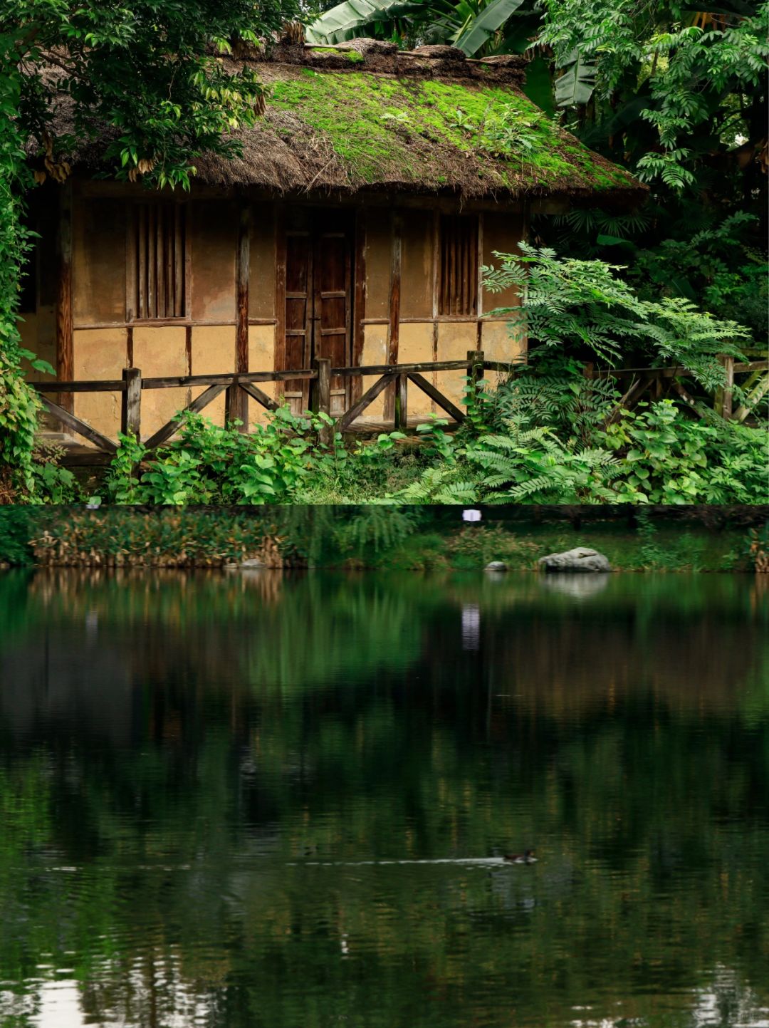 Chengdu/Chongqing-Chengdu Canglang Lake Park integrates natural landscapes and cultural history!