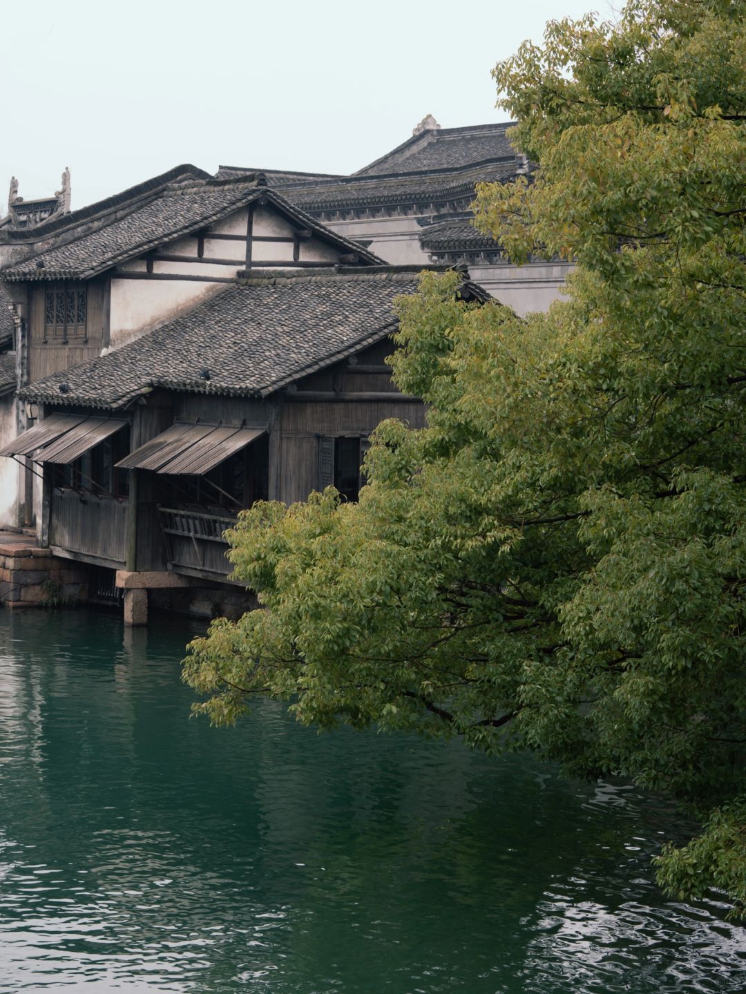 Shanghai/Hangzhou-When you come to Wuzhen for the first time, it is strongly recommended！