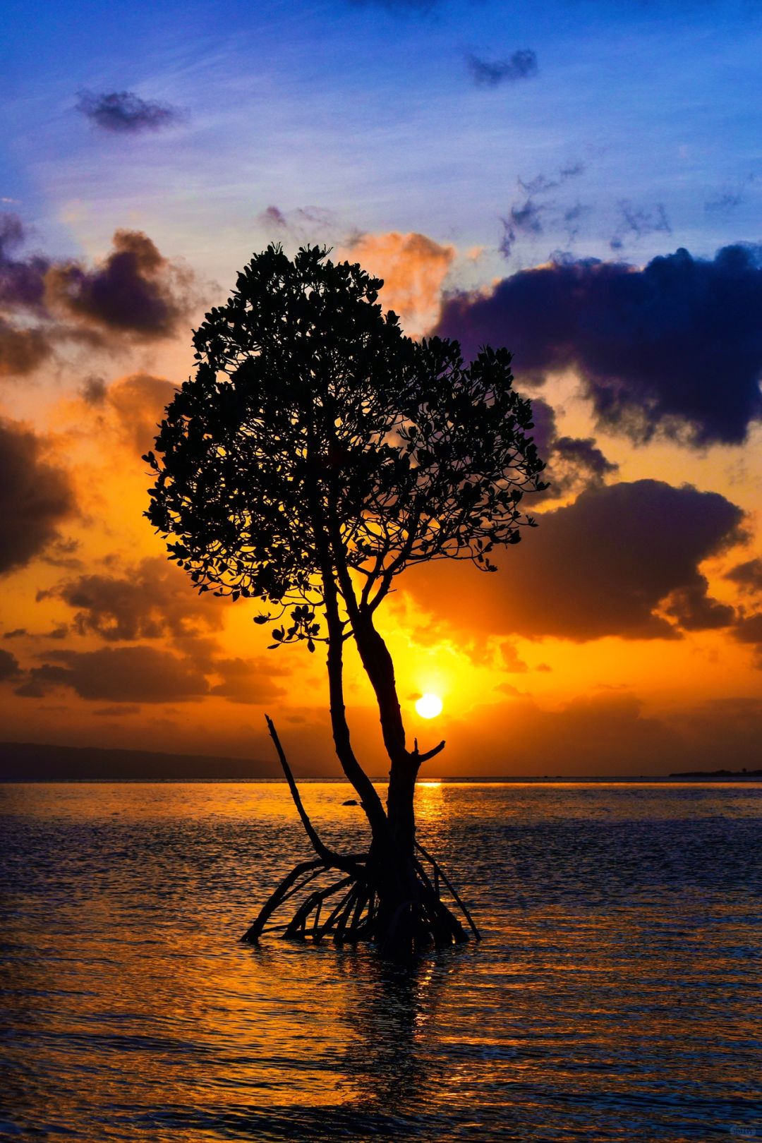 Okinawa-I have lived in Ishigaki Island for 4 years, with only blue sky, white clouds and vast ocean