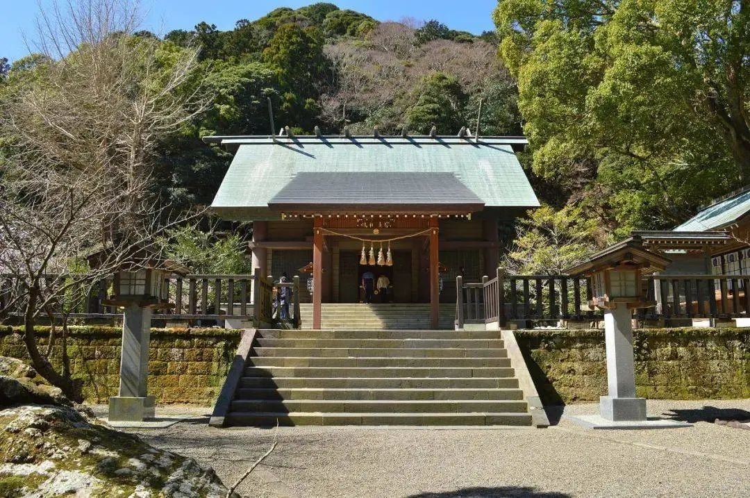 Tokyo-Tateyama, Small Hawaiian town near Tokyo, is the best place to meet sharks at the sunset