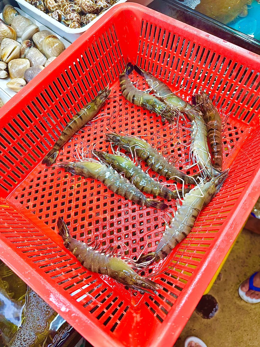 Phuket-Phuket seafood market, market prices of seafood in Patong area (non-tourist prices)