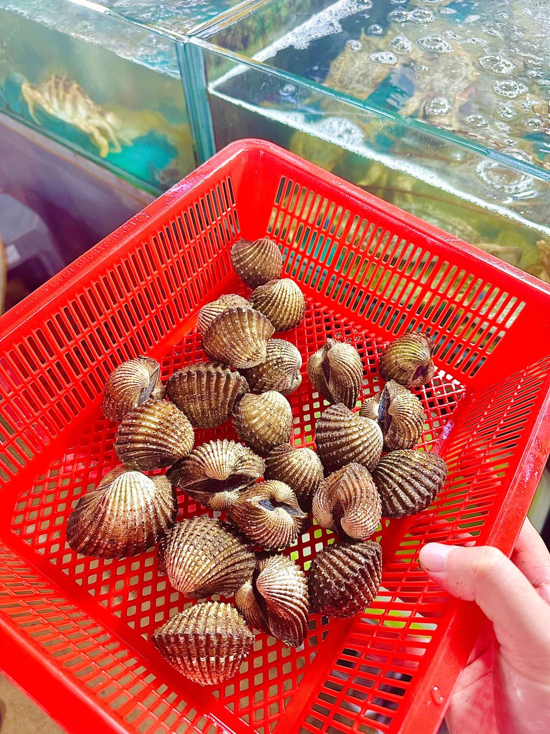 Phuket-Phuket seafood market, market prices of seafood in Patong area (non-tourist prices)