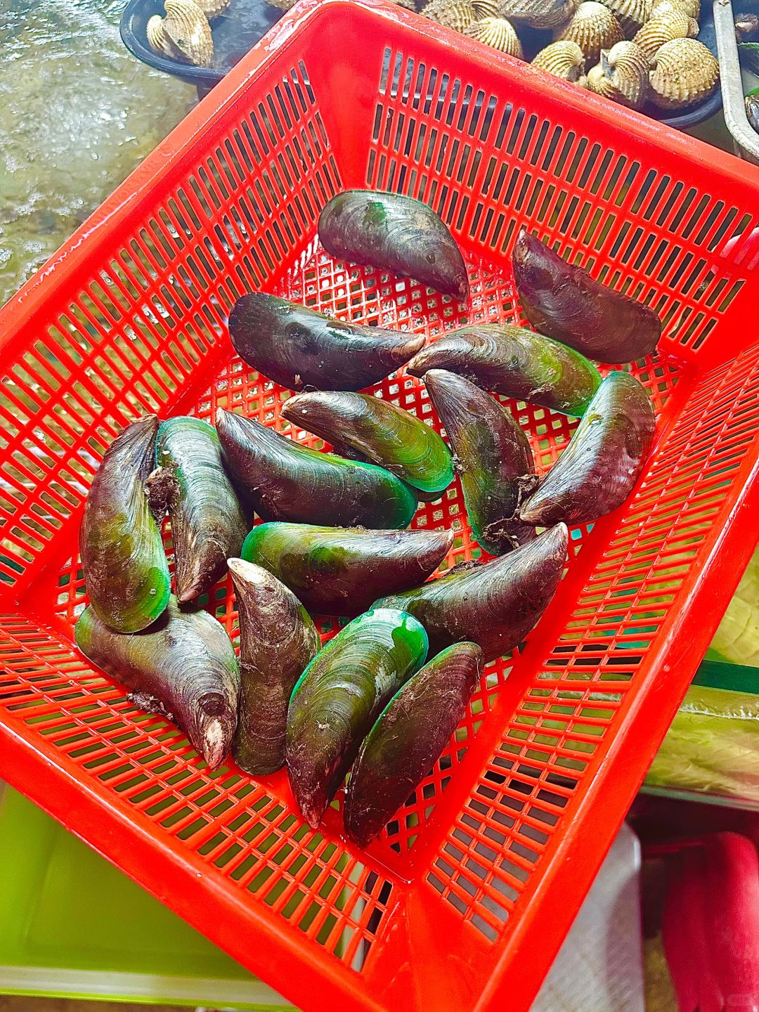 Phuket-Phuket seafood market, market prices of seafood in Patong area (non-tourist prices)