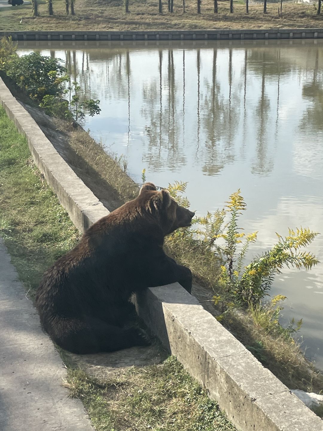 Shanghai/Hangzhou-Shanghai Wildlife Park has a variety of wild animals!