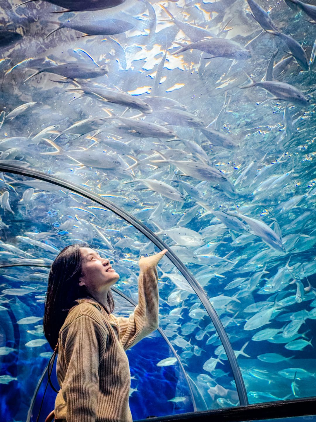 Shanghai/Hangzhou-Shanghai Aquarium has marine creatures from all over the world!