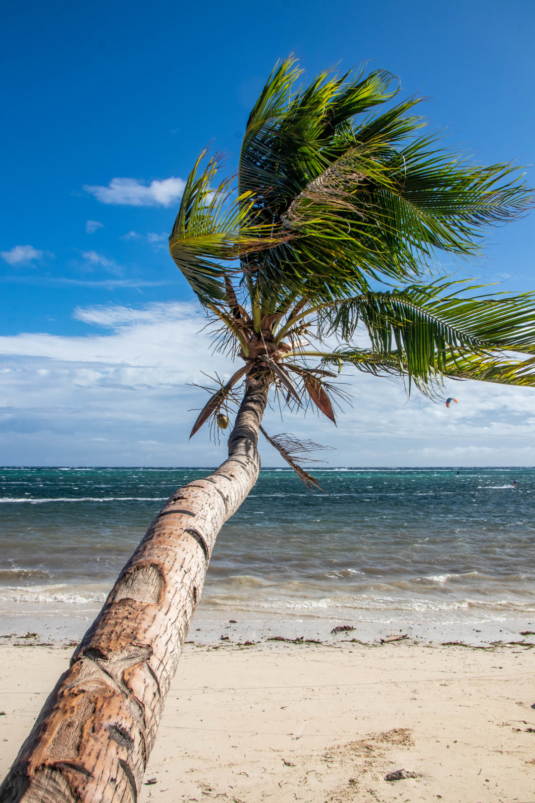 Boracay-Boracay: Facing the jelly -like sea, return to the gentle early summer