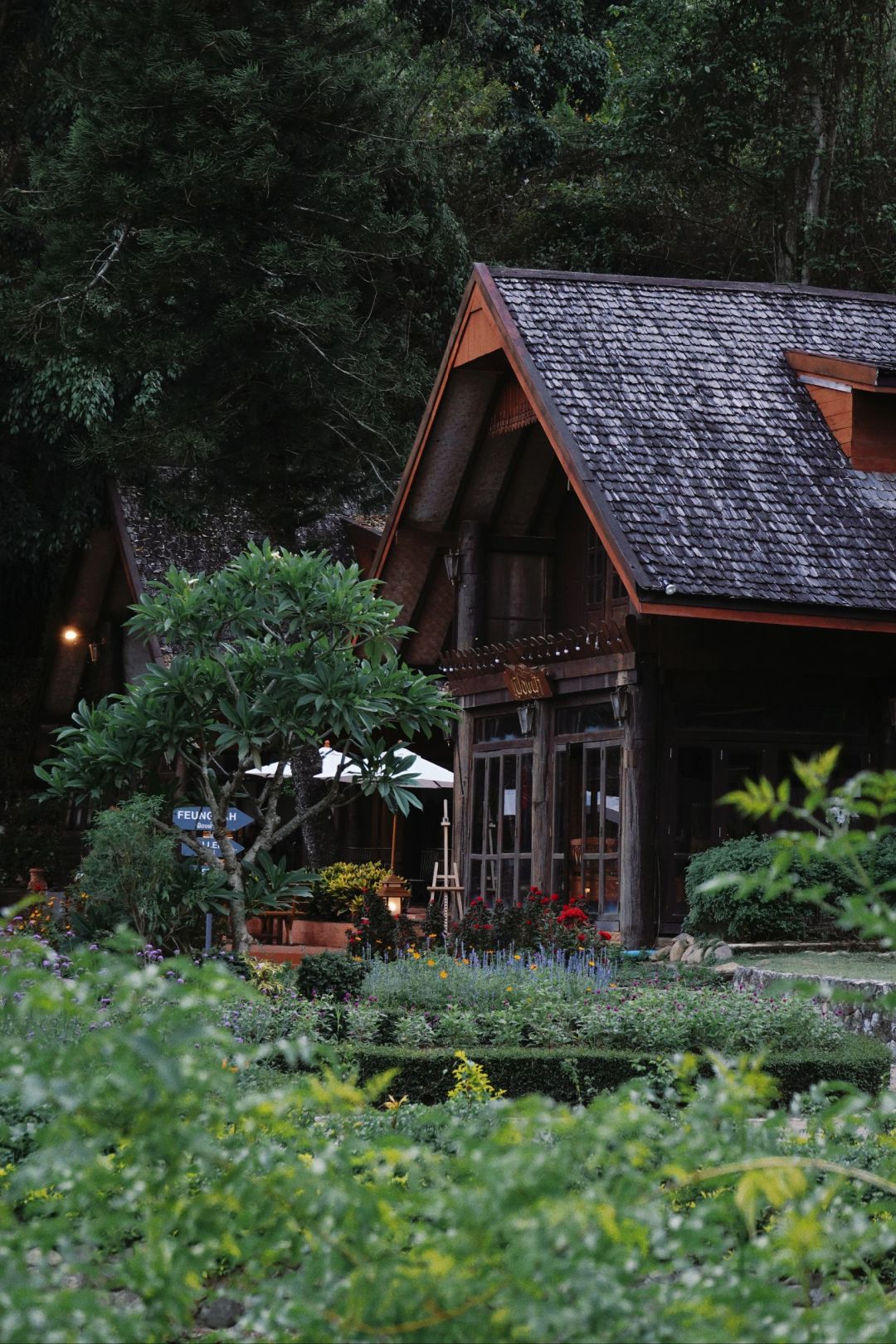 Chiang Mai-Love to die this forest garden hotel in Chiang Mai Mountain