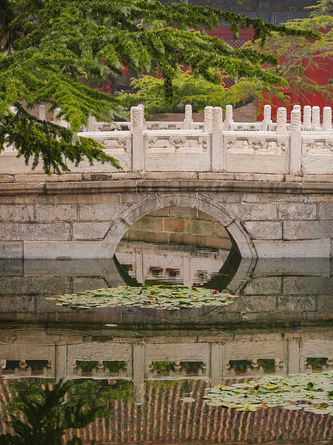 Beijing/Tianjin-Beijing Temple, a niche place suitable for strolling!