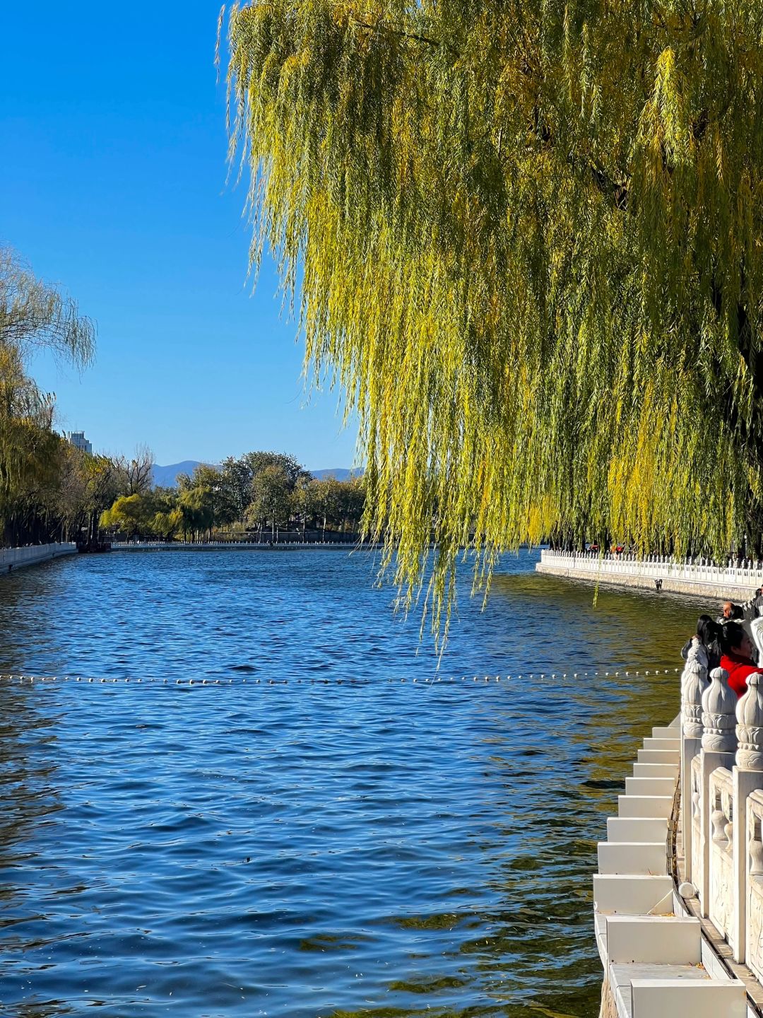 Beijing/Tianjin-I have posted a pre arranged hiking route in Beijing, where you can see the real life of the old Beijing hutongs!