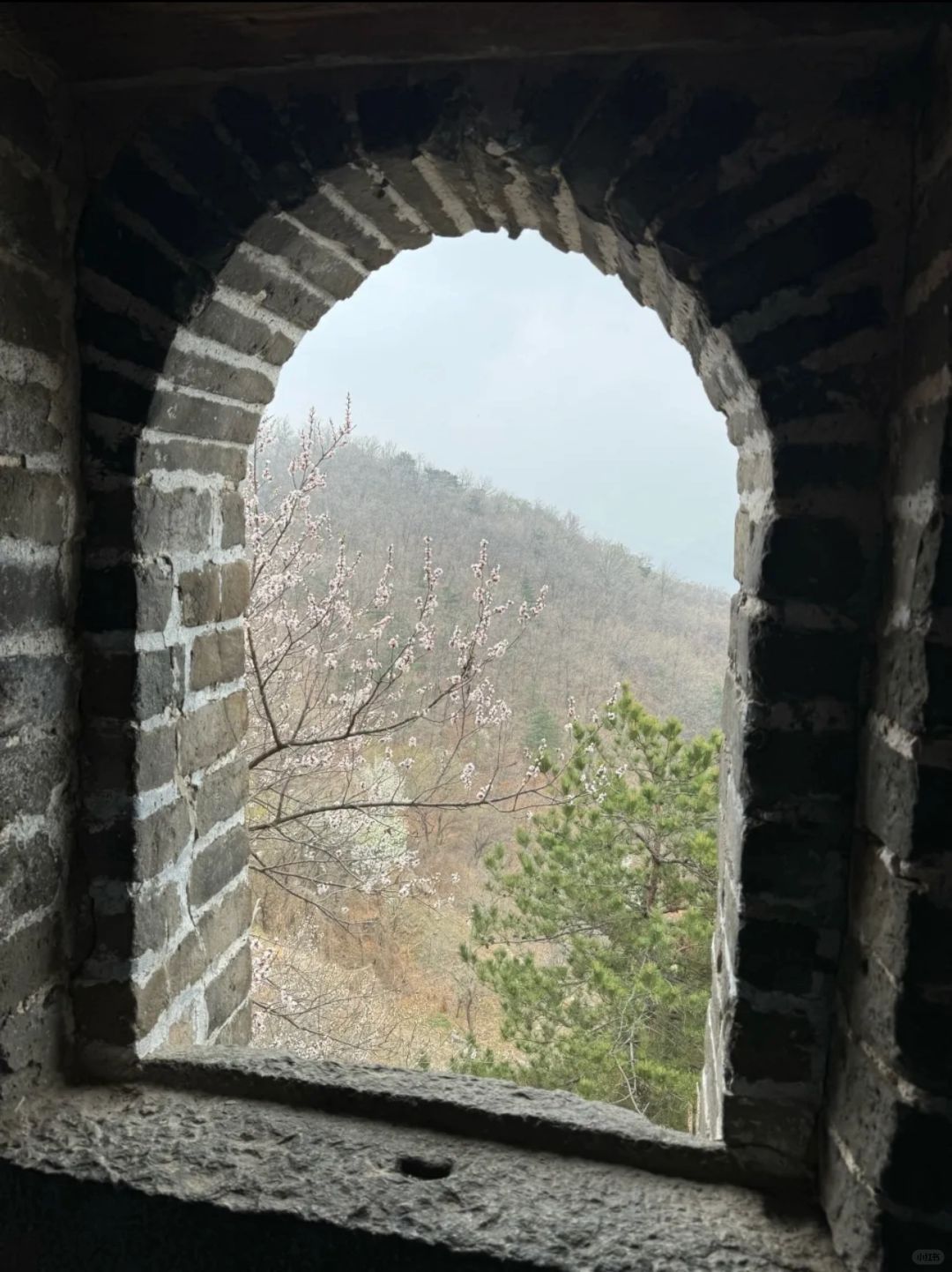 Beijing/Tianjin-This Beijing Great Wall guide is suitable for family travelers!