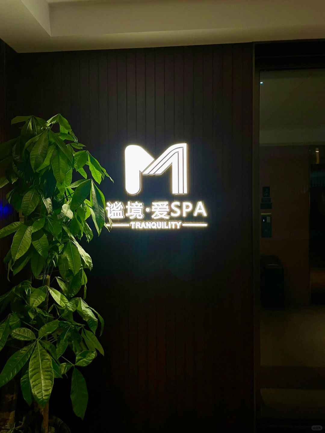 Chengdu/Chongqing-Chengdu Secret Realm • Ai SPA, the environment is very elegant, allowing people to enjoy relaxed time!