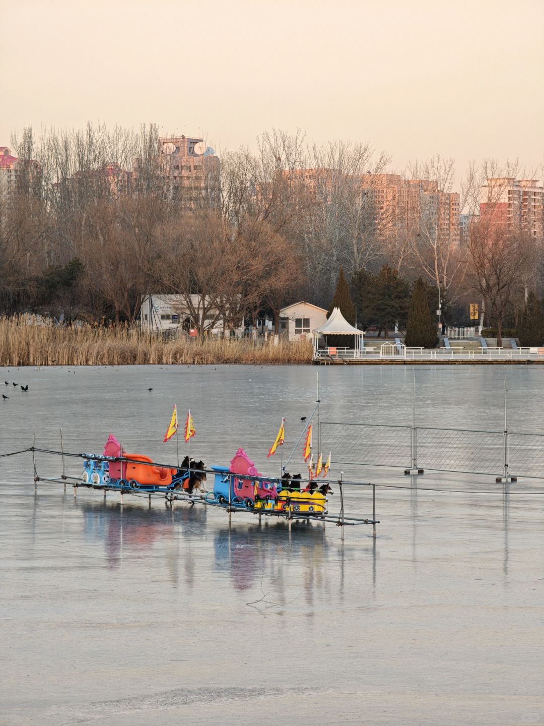 Beijing/Tianjin-Beijing Chaoyang Park, ice skating rink will be open, with a considerable area!