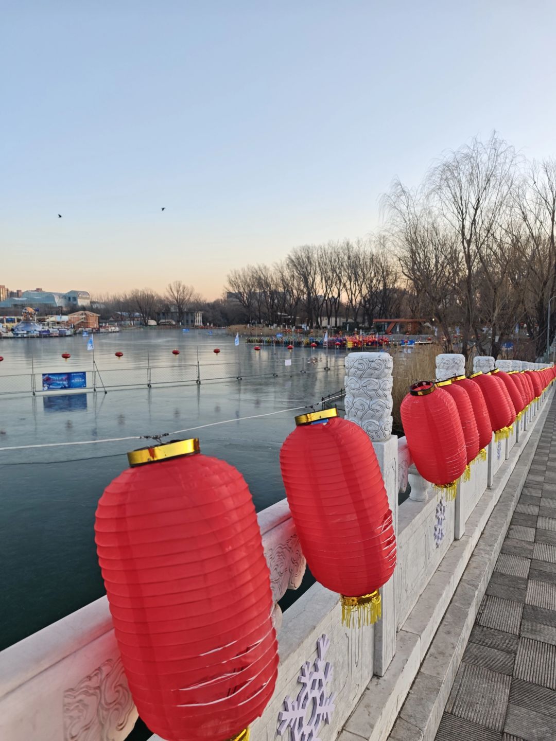 Beijing/Tianjin-Beijing Chaoyang Park, ice skating rink will be open, with a considerable area!