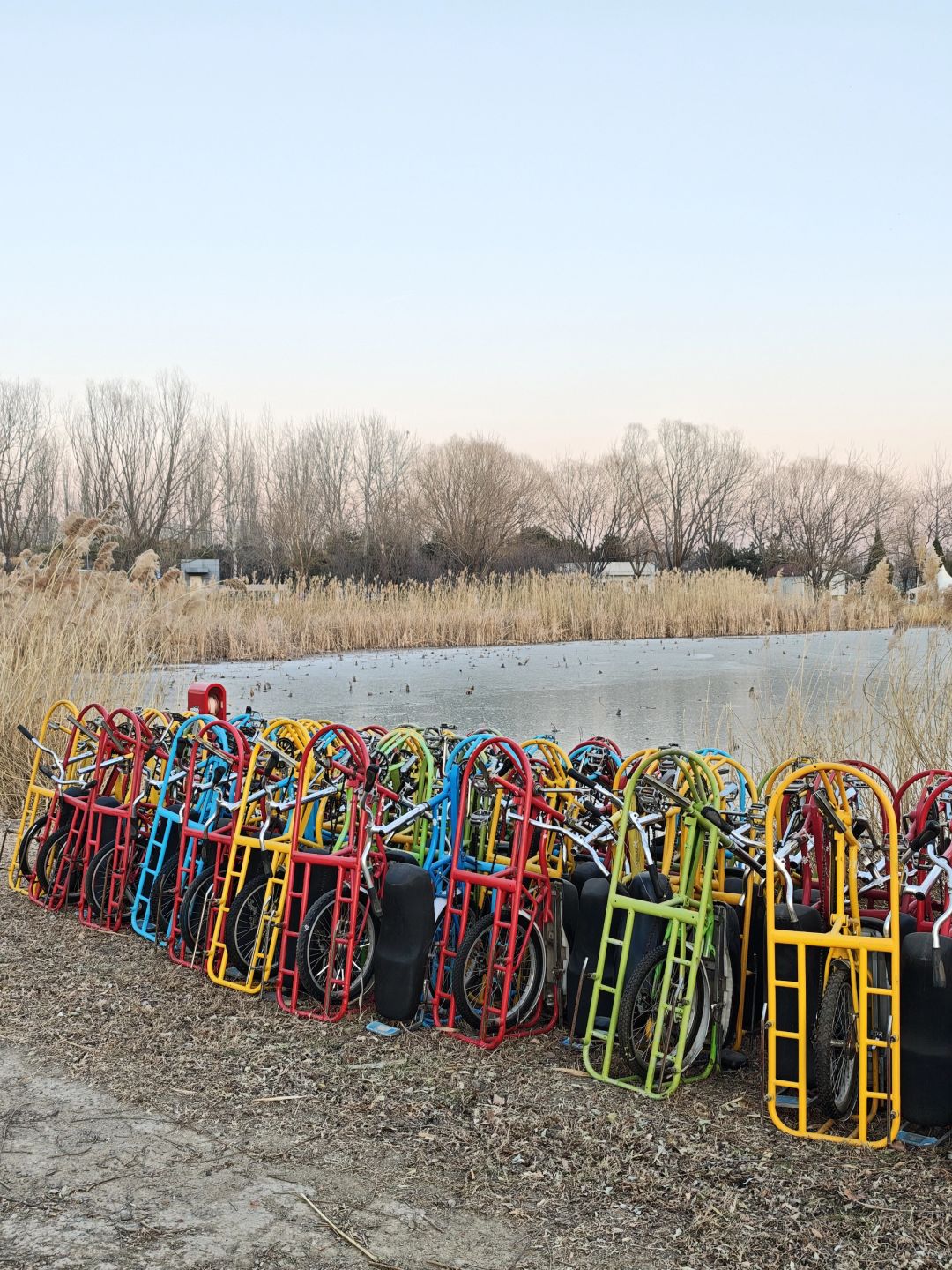 Beijing/Tianjin-Beijing Chaoyang Park, ice skating rink will be open, with a considerable area!