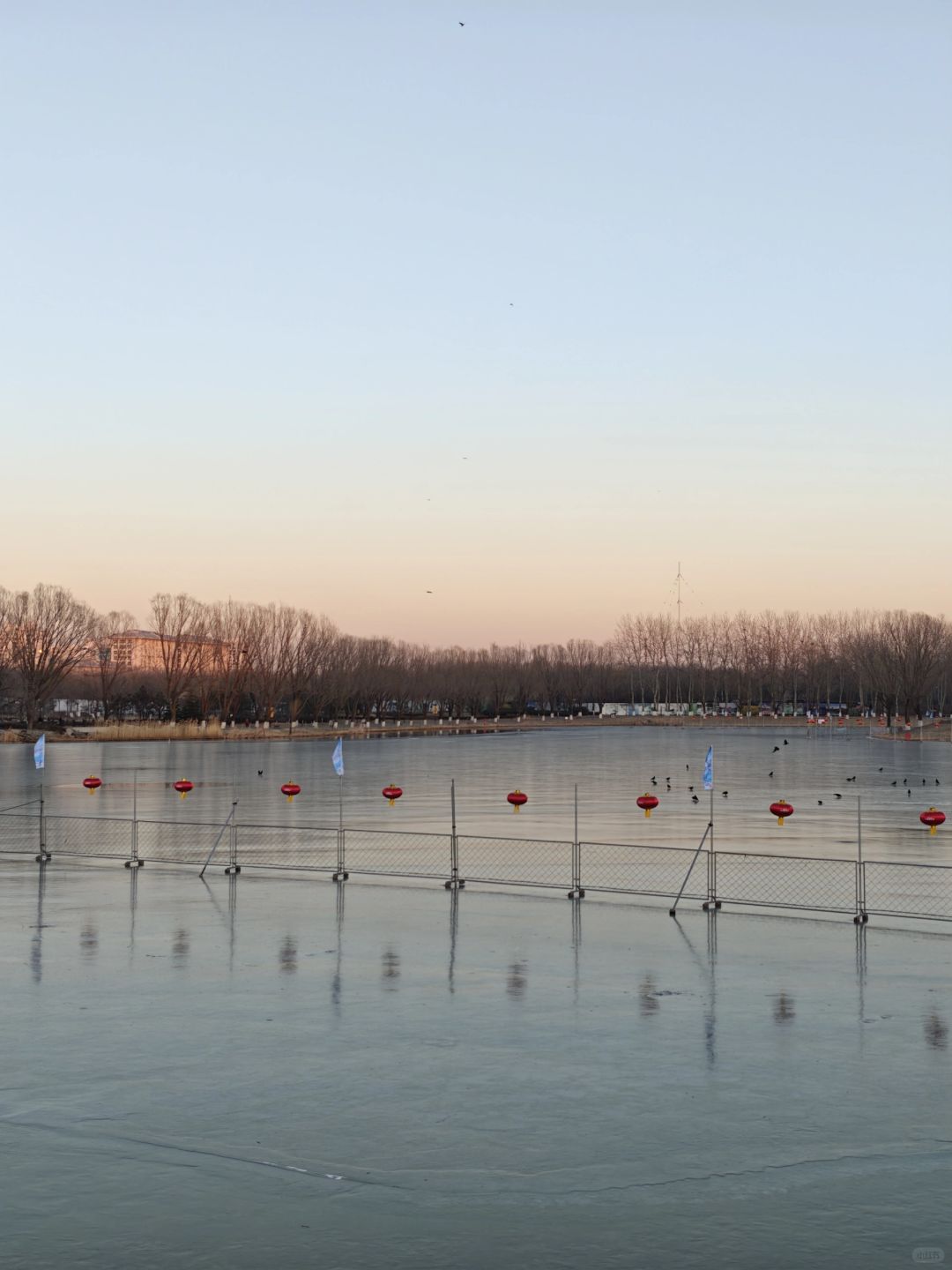 Beijing/Tianjin-Beijing Chaoyang Park, ice skating rink will be open, with a considerable area!