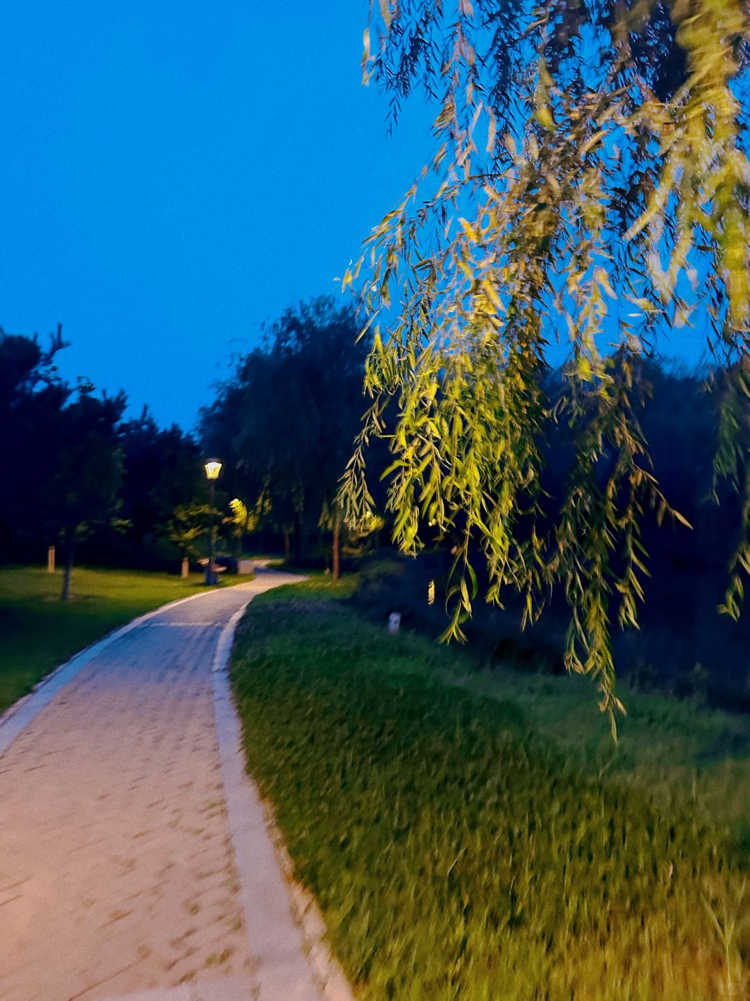 Beijing/Tianjin-Beijing Tongzhou Grand Canal Park, where children can enjoy nature!