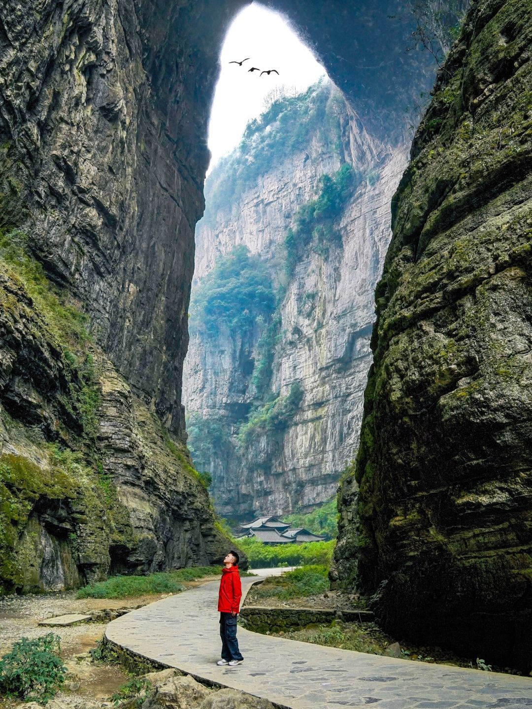 Chengdu/Chongqing-Walking through the cracks of the Tiankeng coal seam in Wulong, Chongqing, is like a fairyland of nature!