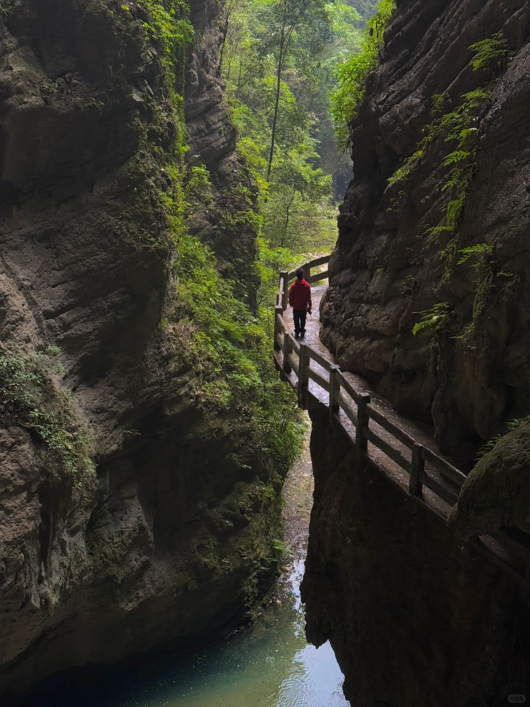 Chengdu/Chongqing-Walking through the cracks of the Tiankeng coal seam in Wulong, Chongqing, is like a fairyland of nature!