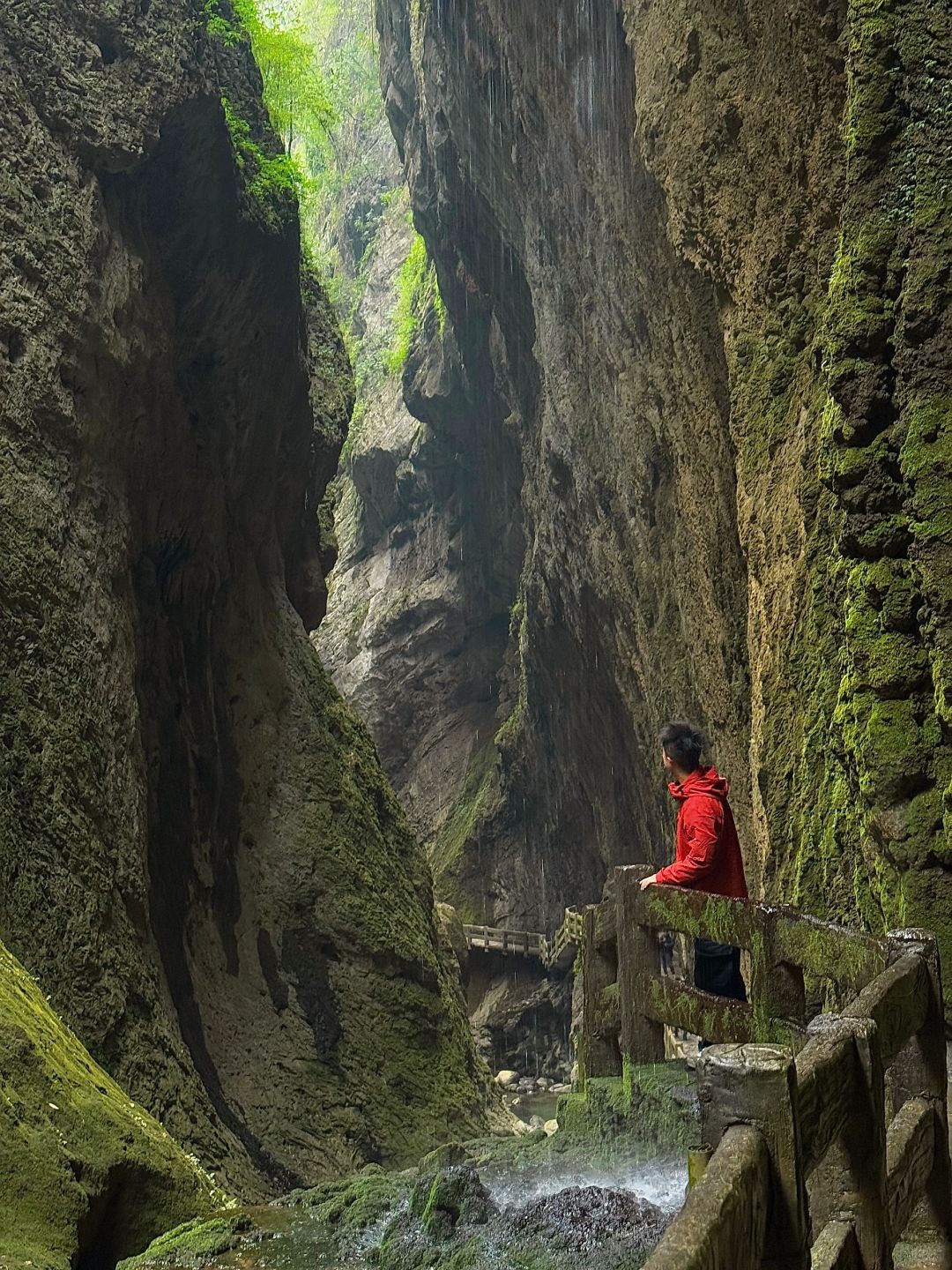 Chengdu/Chongqing-Walking through the cracks of the Tiankeng coal seam in Wulong, Chongqing, is like a fairyland of nature!