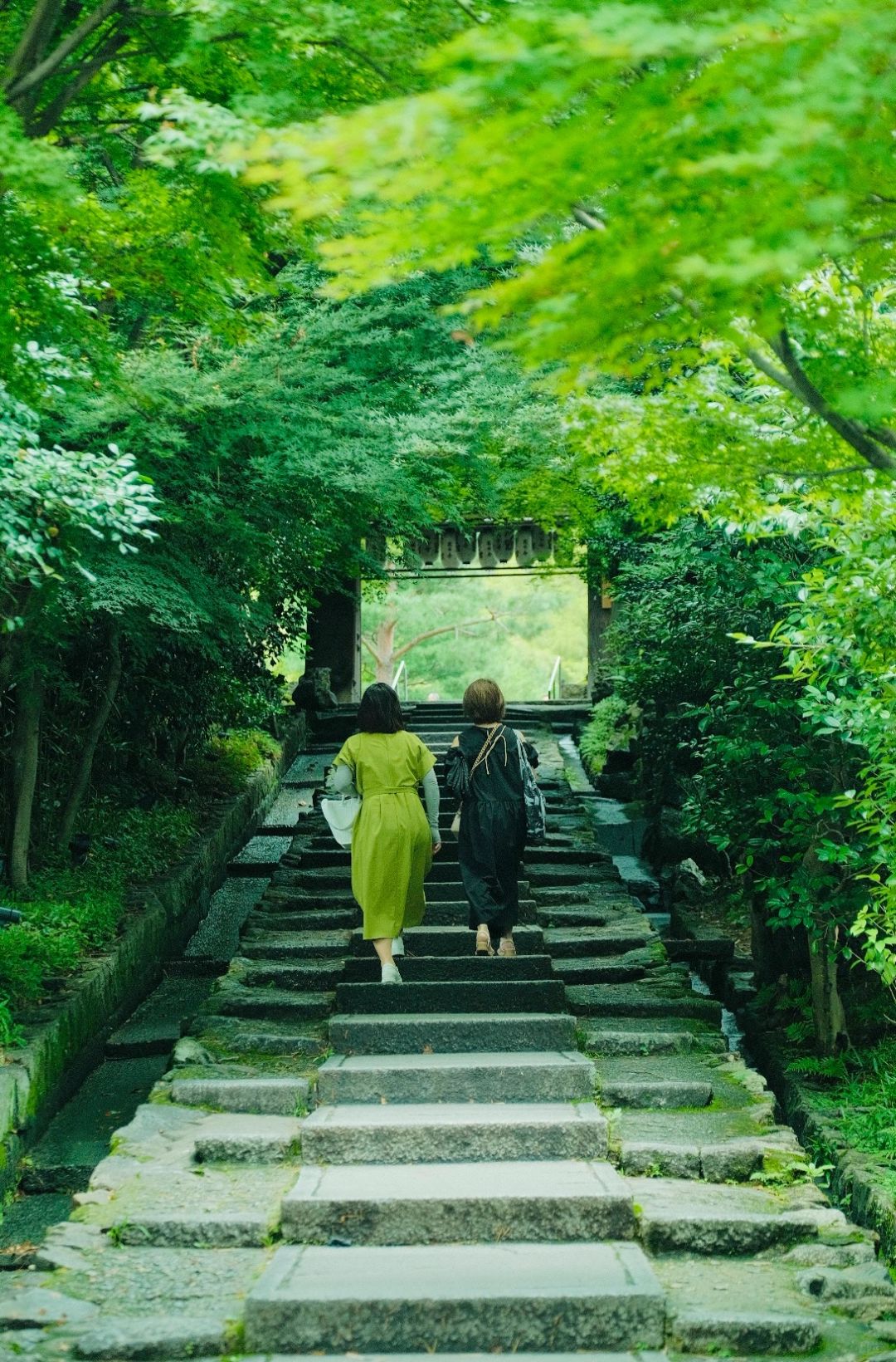 Osaka-Kyoto Kodaiji Temple and Daiun-in Temple, a maple leaf viewing park known to locals