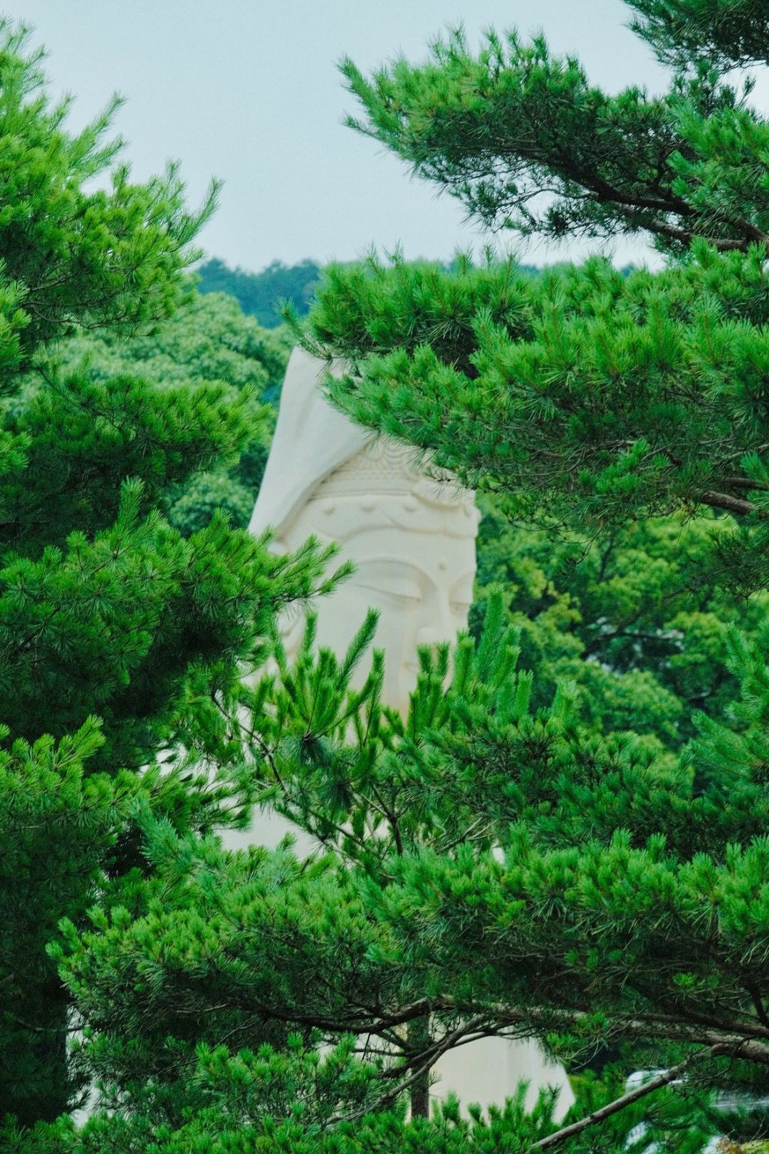 Osaka-Kyoto Kodaiji Temple and Daiun-in Temple, a maple leaf viewing park known to locals