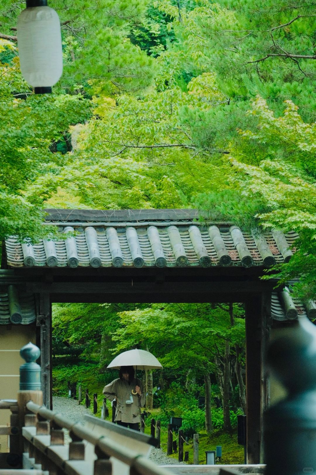 Osaka-Kyoto Kodaiji Temple and Daiun-in Temple, a maple leaf viewing park known to locals