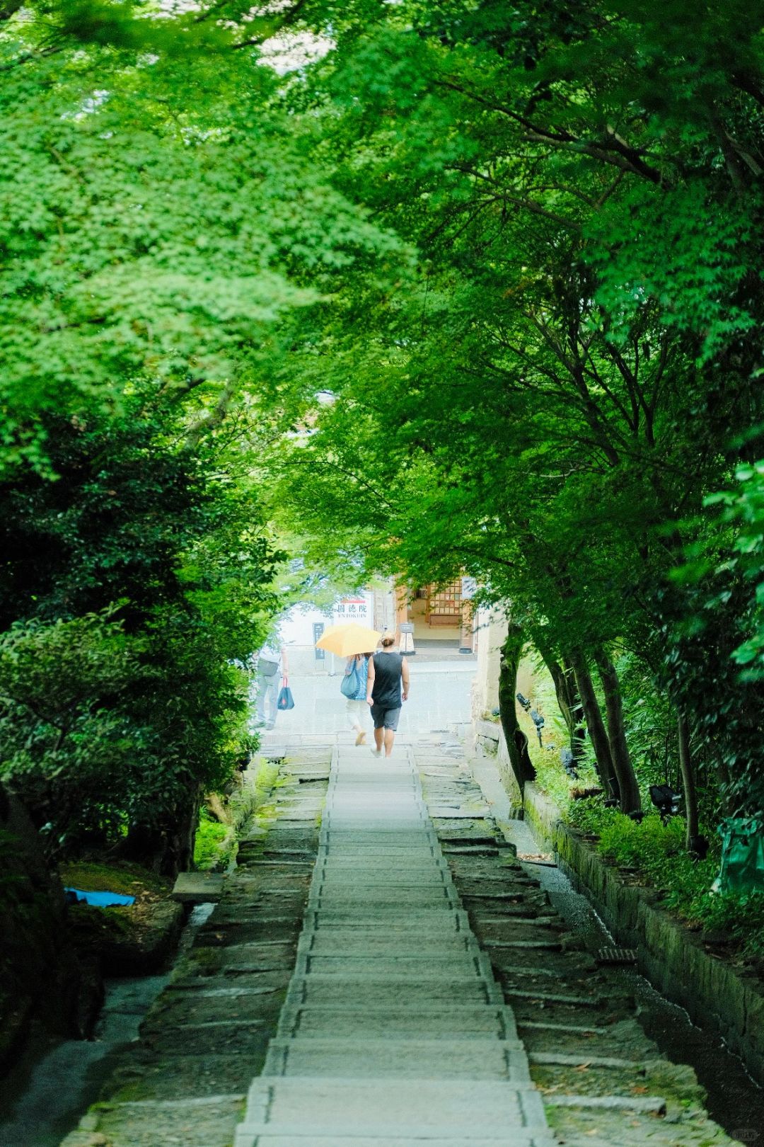 Osaka-Kyoto Kodaiji Temple and Daiun-in Temple, a maple leaf viewing park known to locals