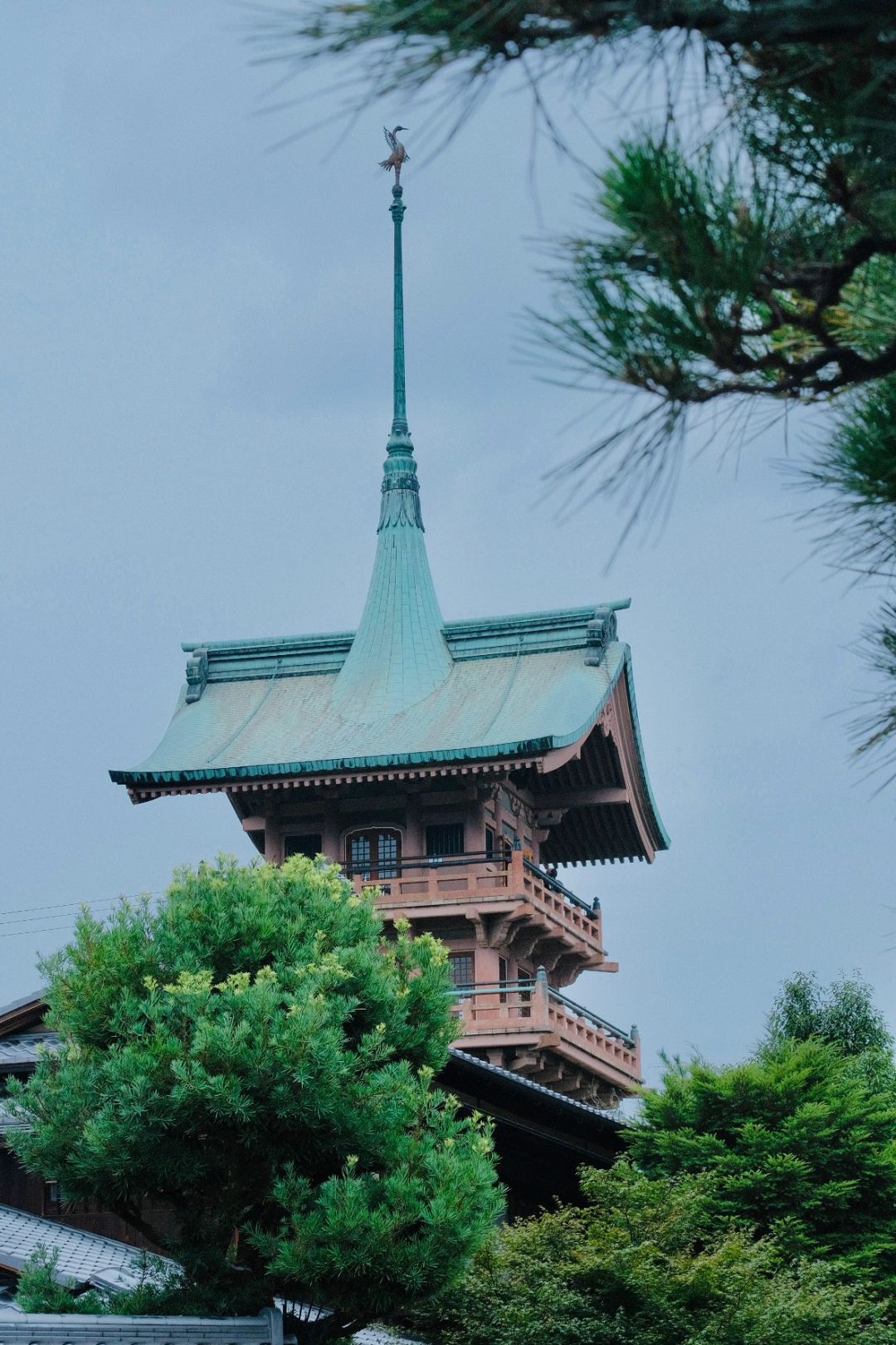 Osaka-Kyoto Kodaiji Temple and Daiun-in Temple, a maple leaf viewing park known to locals