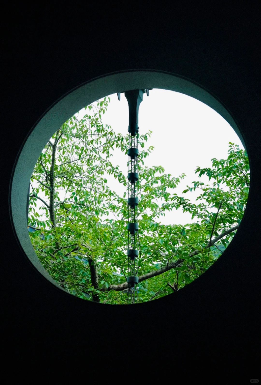 Osaka-Kyoto Kodaiji Temple and Daiun-in Temple, a maple leaf viewing park known to locals